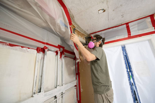 Best Black Mold Removal  in Ben Lomond, CA